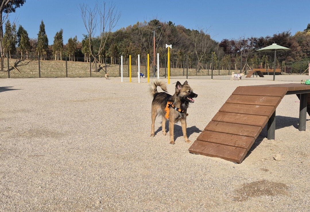 반려동물행동지도사, 1급 4명·2급 ...