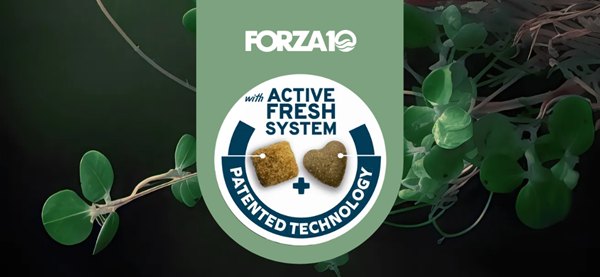 처방 식이에서 파이토케미컬의 의의.....