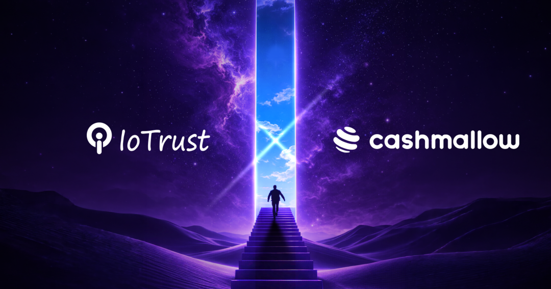 일본 엔화 스테이블코인 사업 진출.....