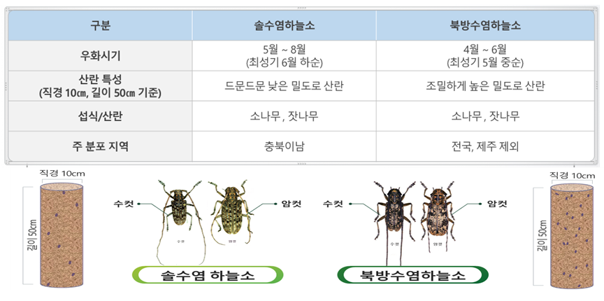 서울숲·거여공원서 소나무재선충병 확인...